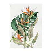 TRADEMARK FINE ART Kathleen Parr McKenna 'Botanical Birds of Paradise' Canvas Art, 18x24 WAP12286-C1824GG